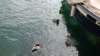 dsc00349_small.jpg