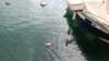 dsc00350_small.jpg