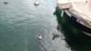 dsc00351_small.jpg