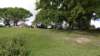dsc00352_small.jpg