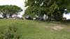 dsc00353_small.jpg