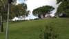 dsc00355_small.jpg