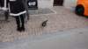 dsc00448_small.jpg