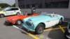 dsc00531_small.jpg