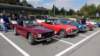 dsc00532_small.jpg