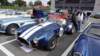 dsc00538_small.jpg