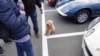 dsc00555_small.jpg
