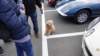 dsc00556_small.jpg