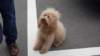dsc00557_small.jpg