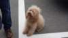 dsc00558_small.jpg