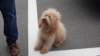 dsc00559_small.jpg