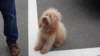 dsc00560_small.jpg