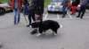 dsc00566_small.jpg