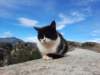 _093701_small.jpg