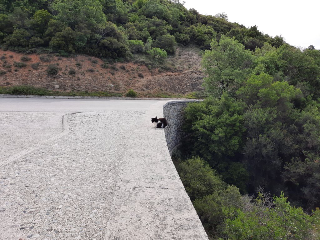 _094940.jpg