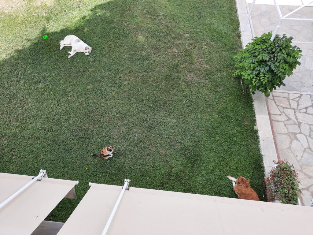 _100858.jpg