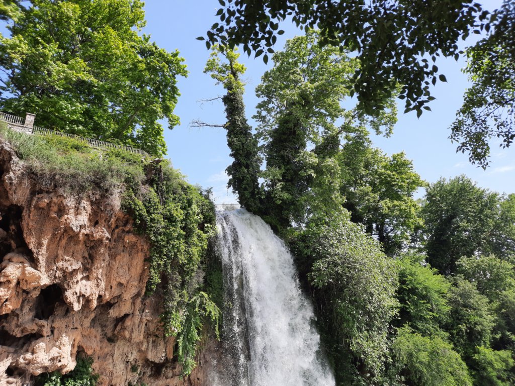 _114259.jpg