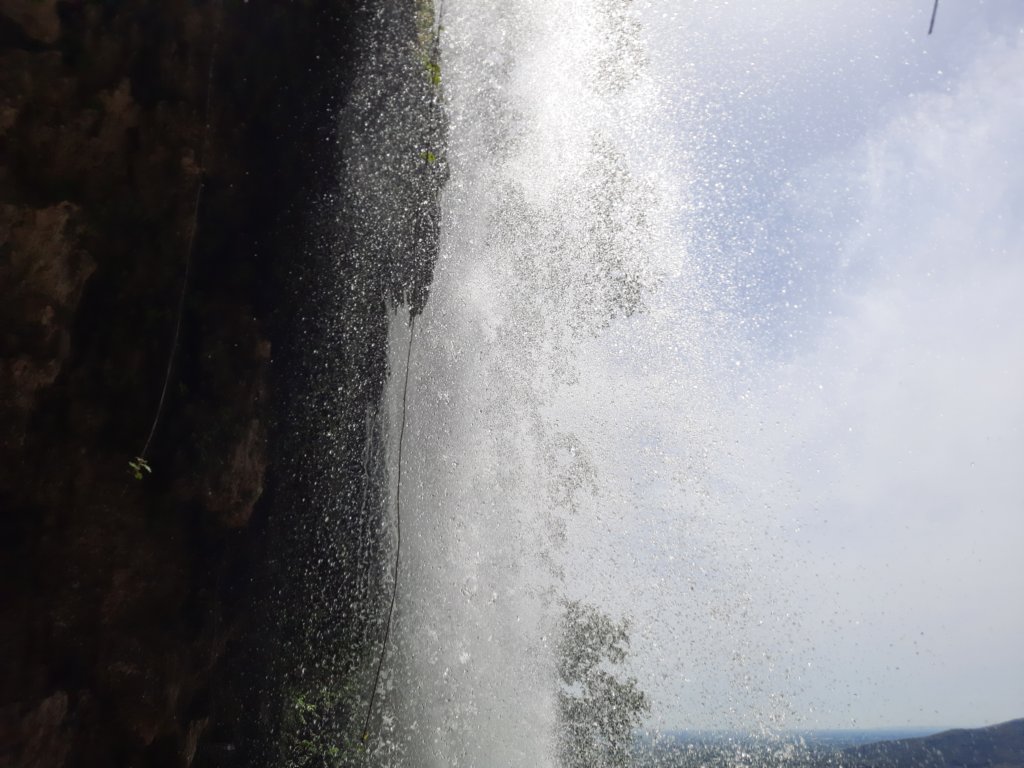 _115813.jpg