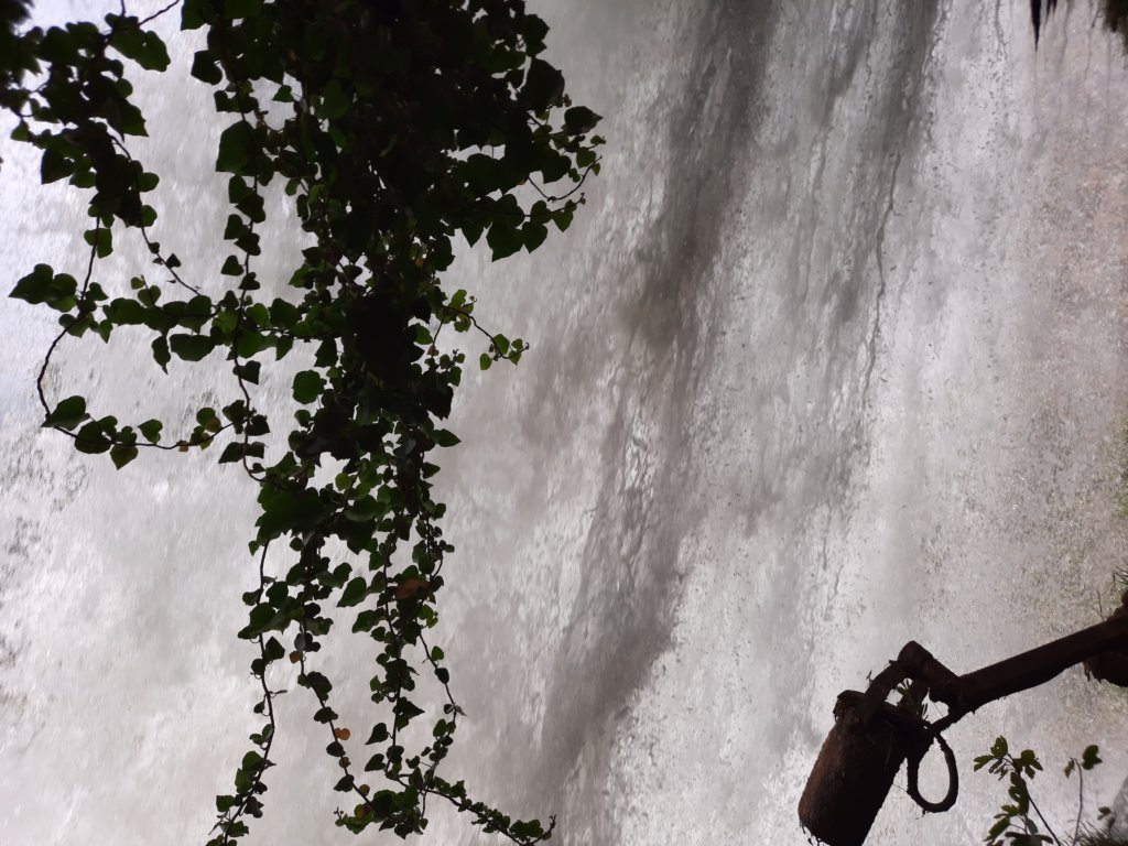 _120050.jpg