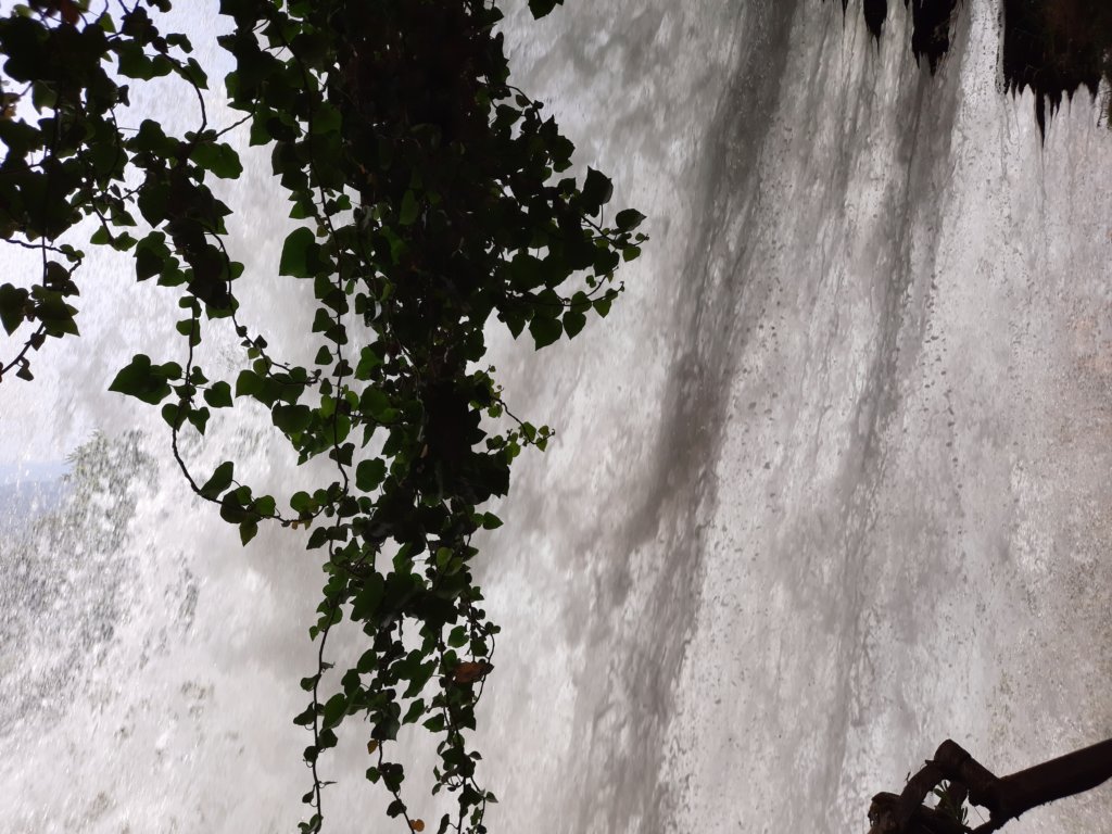 _120058.jpg
