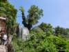 _120610_small.jpg