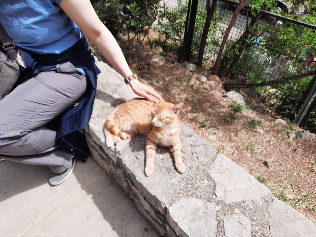 _120716.jpg