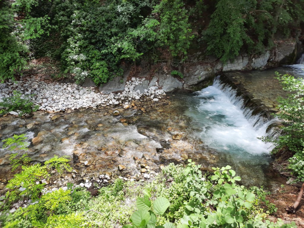 _131719.jpg