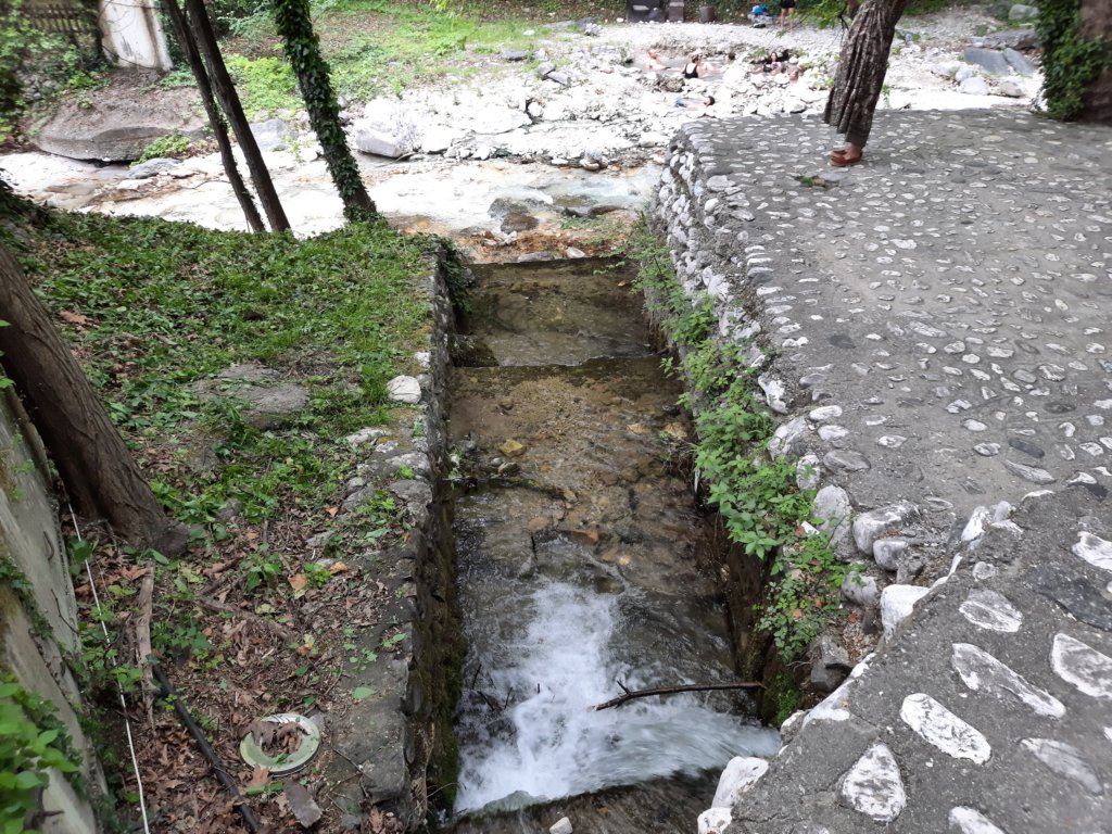 _133350.jpg