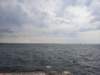_133654_small.jpg