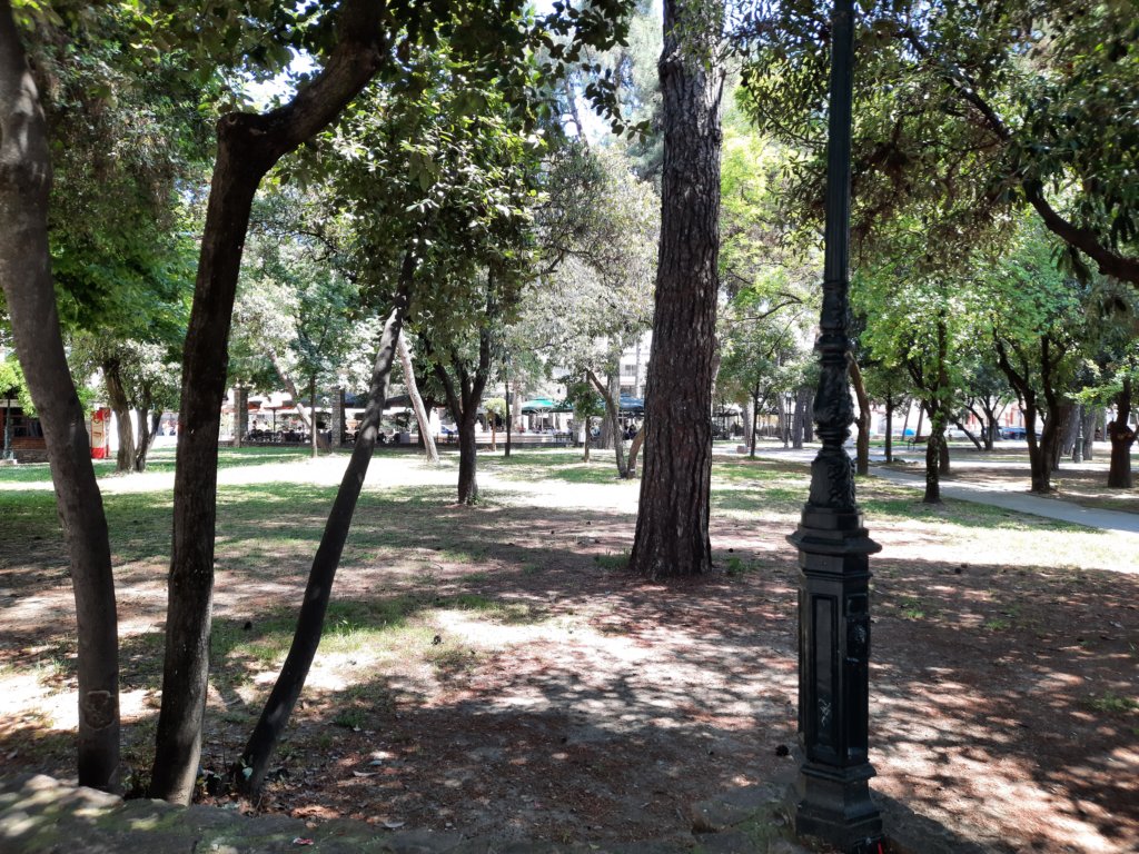 _1420582.jpg