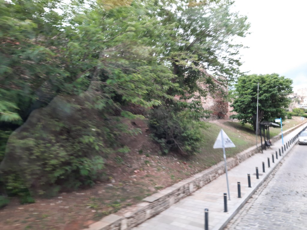 _161532.jpg