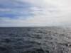 _165228_small.jpg