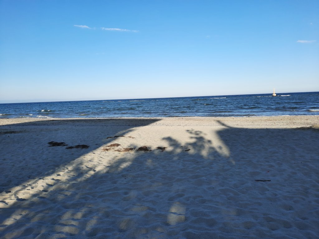 _190037.jpg