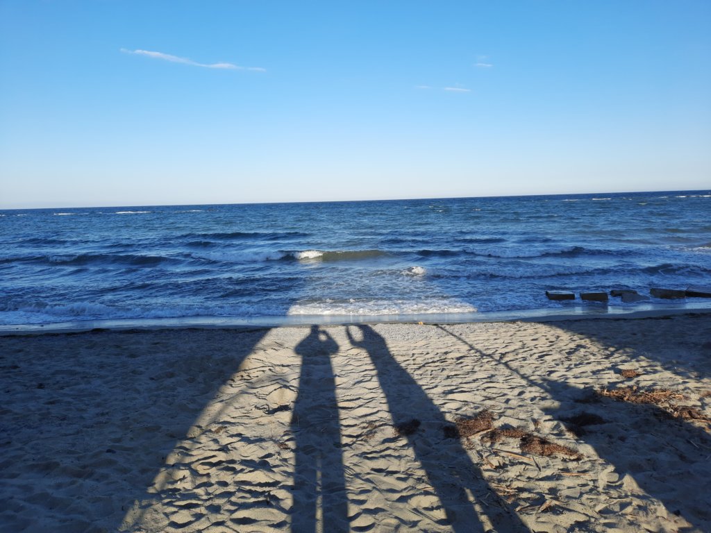 _190646.jpg