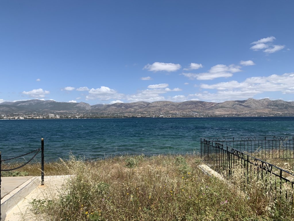 img_4584.jpg