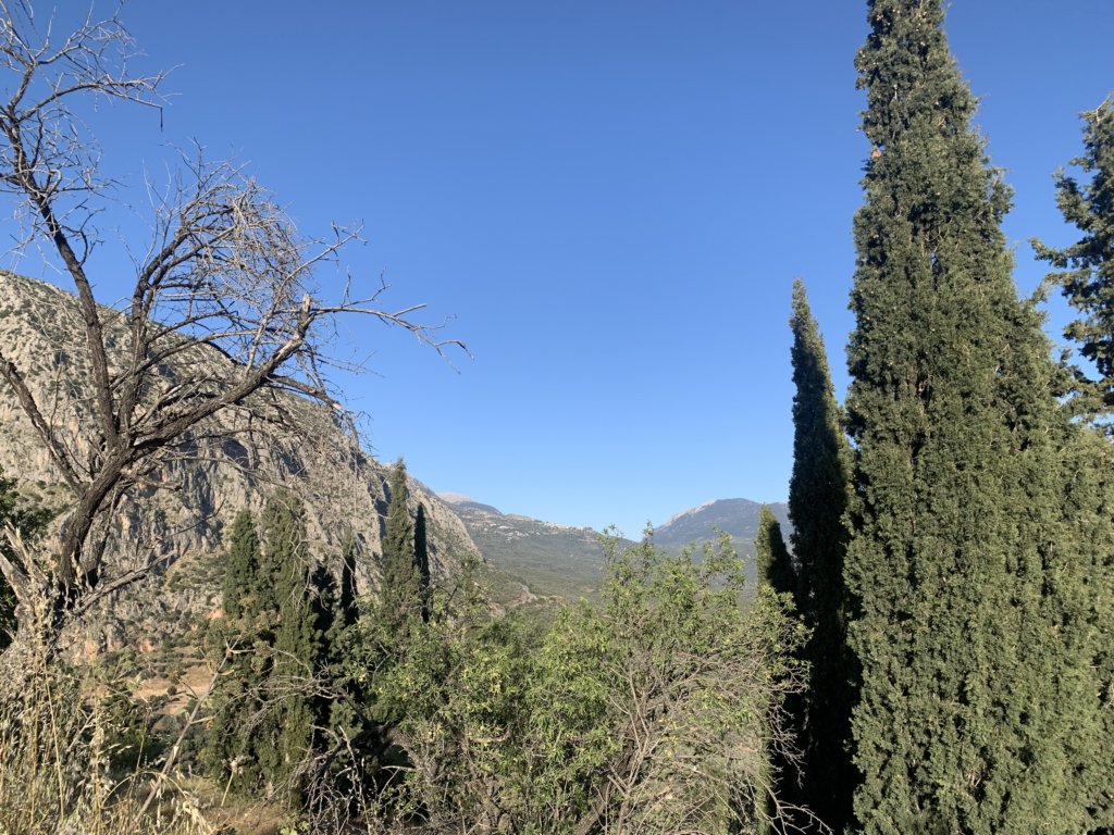 img_4608.jpg