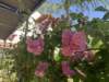 img_5491_small.jpg