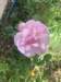 img_5493_small.jpg