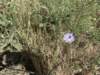 img_5591_small.jpg