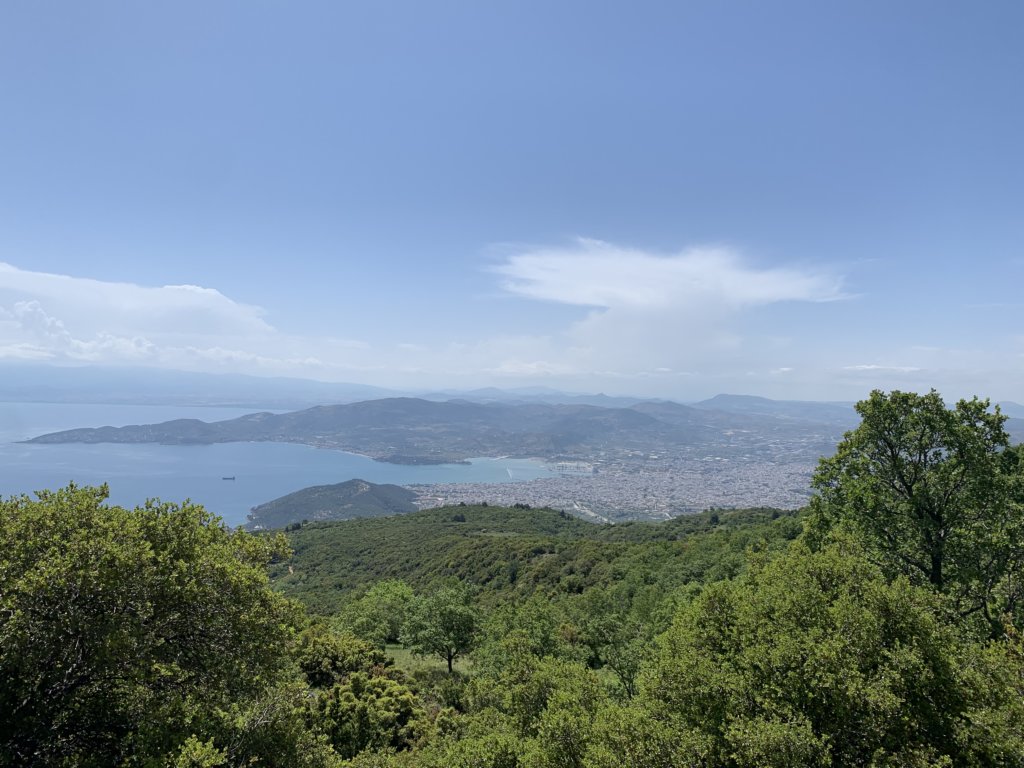 img_5771.jpg