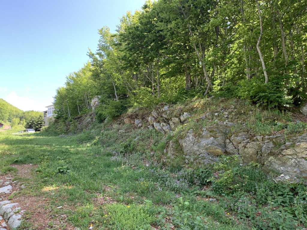 img_5798.jpg