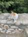 img_6050_small.jpg