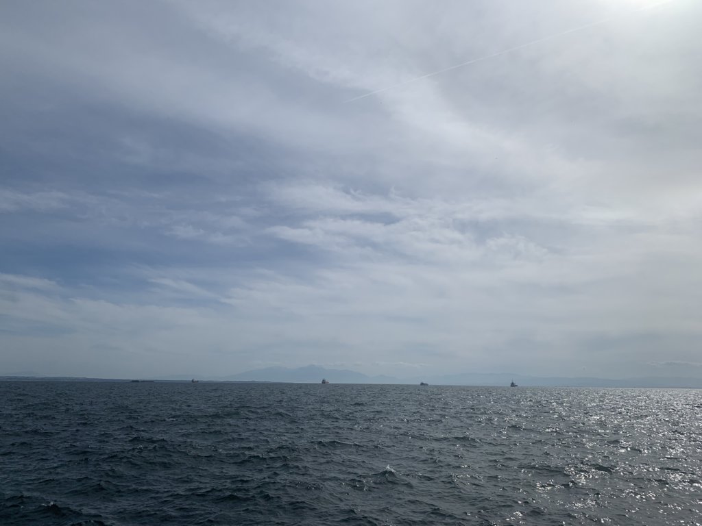 img_6351.jpg