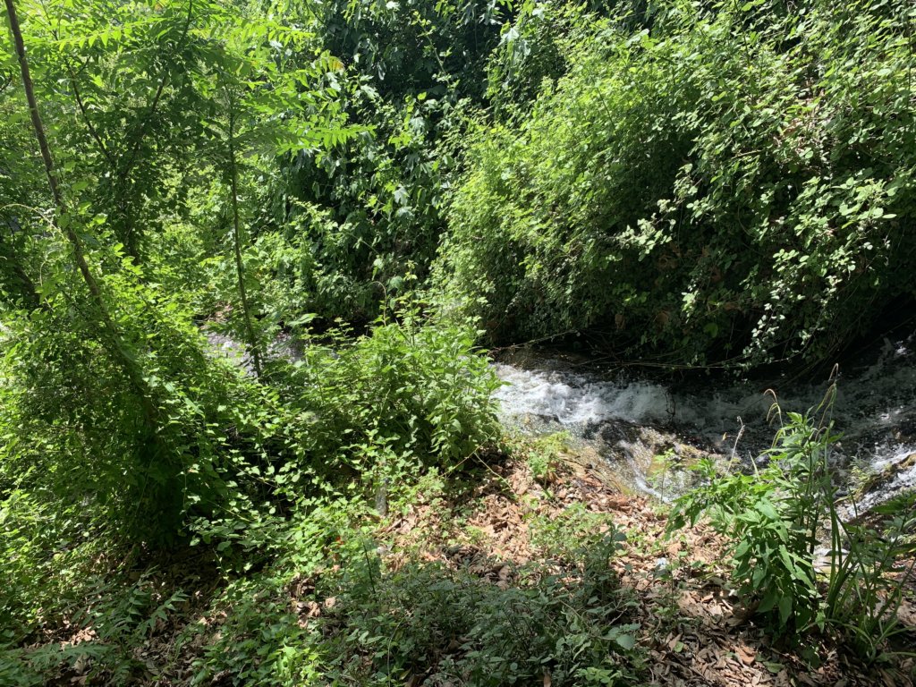 img_6430.jpg