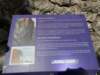 img_6440_small.jpg