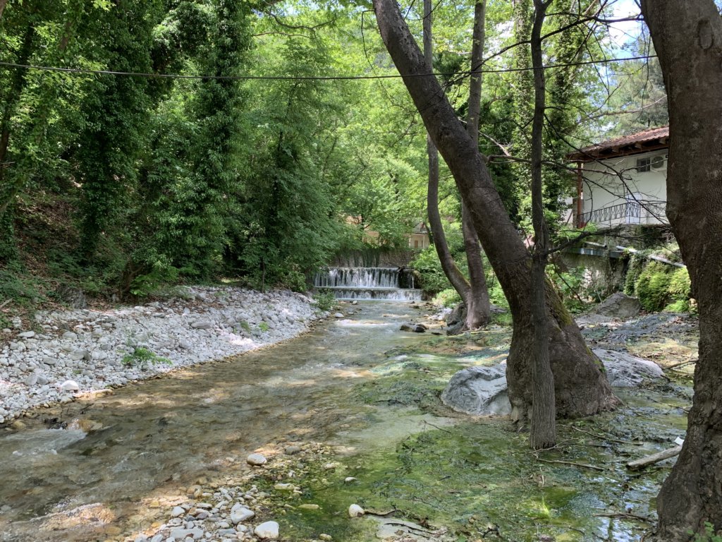 img_6506.jpg