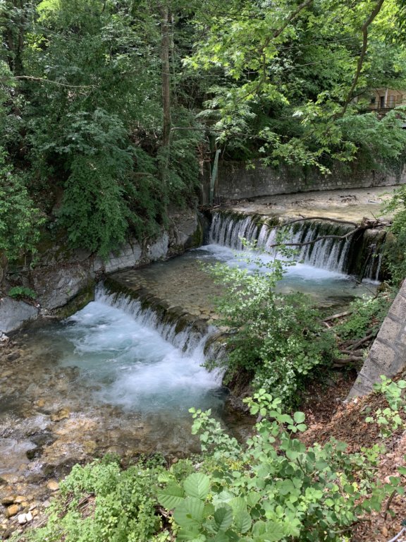 img_6508.jpg