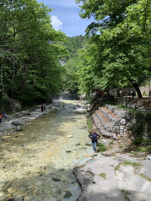 img_6520.jpg