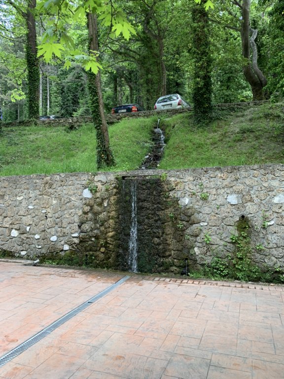img_6524.jpg