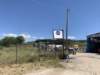 p73aliartosgreece_small.jpg